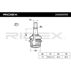 Šarnyras
                                RIDEX                                                2462S0105, Nenurodytas gaminto