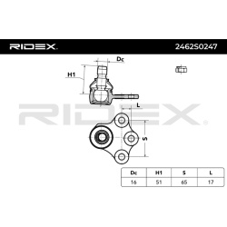 Šarnyras
                                RIDEX                                                2462S0247, Nenurodytas gaminto