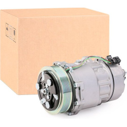 kompresorius, oro kondicionierius
                                RIDEX                                447K0080, Nenurodytas 