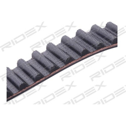 paskirstymo diržo komplektas
                                RIDEX                                307T0142, Nenurodytas gami