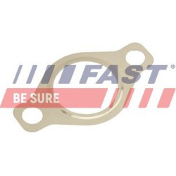 tarpiklis, EGR vožtuvas
                                FAST                                FT50618, FAST, FT50618, auto det