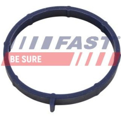 tarpiklis, įsiurbimo kolektoriaus korpusas
                                FAST                                FT49467, FAST