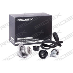 vandens siurblio ir paskirstymo diržo komplektas
                                RIDEX                                      