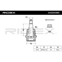 Šarnyras
RIDEX 2462S0385, Nenurodytas gaminto