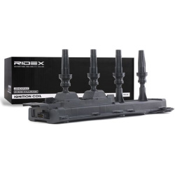 ritė, uždegimas
                                RIDEX                                                689C0175, Nenurodytas 
