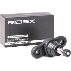 Šarnyras
                                RIDEX                                                2462S0143, Nenurodytas gaminto