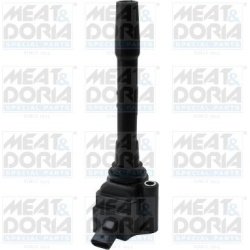ritė, uždegimas
                                MEAT &amp; DORIA                                                10856, Nenu