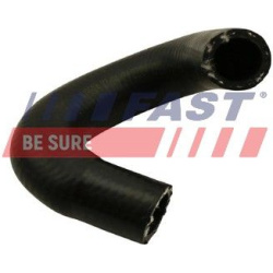 FAST                                                FT61099, FAST, FT61099, auto detalė