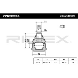 Šarnyras
                                RIDEX                                                2462S0309, Nenurodytas gaminto