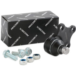 Šarnyras
                                RIDEX                                2462S0030, Nenurodytas gamintojas, 2462S0030, 