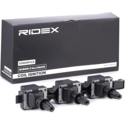 ritė, uždegimas
                                RIDEX                                                689C0244, Nenurodytas 