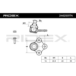 Šarnyras
                                RIDEX                                                2462S0174, Nenurodytas gaminto