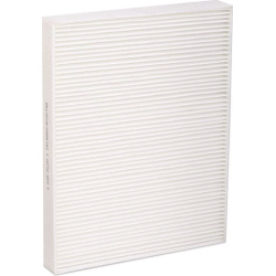 filtras, salono oras
                                RIDEX                                                424I0246, Nenurodyt