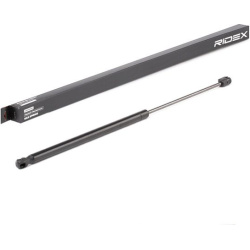 dujinė spyruoklė, bagažinė
                                RIDEX                                                219G0300,