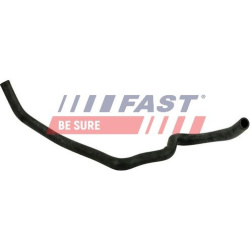 FAST                                FT61989, FAST, FT61989, auto detalė