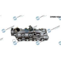 įsiurbimo kolektoriaus modulis
                                Dr.Motor Automotive                                          
