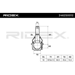 Šarnyras
                                RIDEX                                2462S0012, Nenurodytas gamintojas, 2462S0012, 