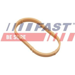 tarpiklis, įsiurbimo kolektoriaus korpusas
                                FAST                                             