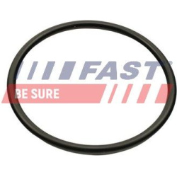 tarpiklis, įsiurbimo kolektoriaus korpusas
                                FAST-SPEC                                        