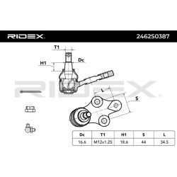 Šarnyras
                                RIDEX                                2462S0387, Nenurodytas gamintojas, 2462S0387, 