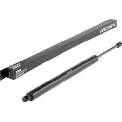 dujinė spyruoklė, bagažinė
                                RIDEX                                                219G0262,