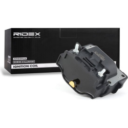 ritė, uždegimas
                                RIDEX                                                689C0170, Nenurodytas 
