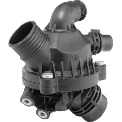 termostatas, aušinimo skystis
                                BorgWarner (Wahler)                                           