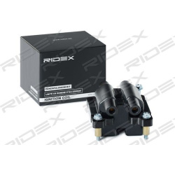 Ritė, uždegimas
RIDEX 689C0399, Nenurodytas