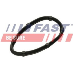tarpiklis, išleidimo kolektorius
                                FAST                                                FT49457