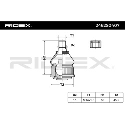 Šarnyras
                                RIDEX                                                2462S0407, Nenurodytas gaminto