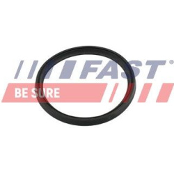tarpiklis, turbinos oro žarna
                                FAST-SPEC                                                FT498