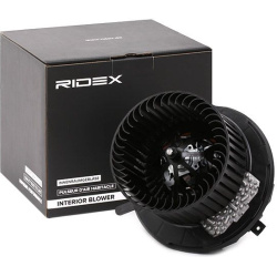 vidaus pūtiklis
                                RIDEX                                                2669I0029, Nenurodytas 