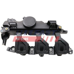 vožtuvas, variklio bloko alsuoklis
                                FAST                                                FT504