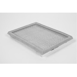 Filtras oro
                                CHAMPION                                                CAF100548P, CHAMPION, CAF