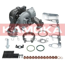 Kompresorius, įkrovimo sistema
                                KAMOKA                                                8600028