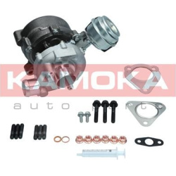 kompresorius, įkrovimo sistema
                                KAMOKA                                                8600055