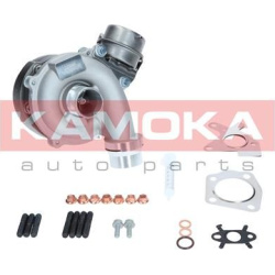 kompresorius, įkrovimo sistema
                                KAMOKA                                                8600032