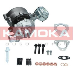 kompresorius, įkrovimo sistema
                                KAMOKA                                                8600027