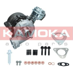 Kompresorius, įkrovimo sistema
                                KAMOKA                                                8600004
