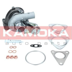 kompresorius, įkrovimo sistema
                                KAMOKA                                                8600008