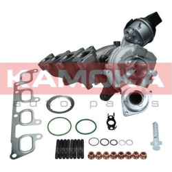 kompresorius, įkrovimo sistema
                                KAMOKA                                                8600009