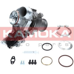 kompresorius, įkrovimo sistema
                                KAMOKA                                                8600080