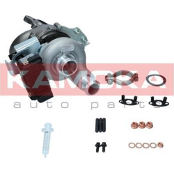 kompresorius, įkrovimo sistema
                                KAMOKA                                                8600073