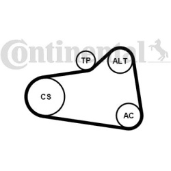 V formos rumbuotas diržas, komplektas
                                CONTINENTAL CTAM                                6PK905
