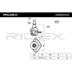 Šarnyras
                                RIDEX                                                2462S0443, Nenurodytas gaminto