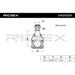 Šarnyras
                                RIDEX                                                2462S0229, Nenurodytas gaminto