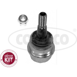 Šarnyras
                                CORTECO                                49400185, CORTECO, 49400185, auto detalė