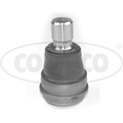 Šarnyras
                                CORTECO                                49399547, CORTECO, 49399547, auto detalė