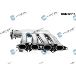 įsiurbimo kolektoriaus modulis
                                Dr.Motor Automotive                                          