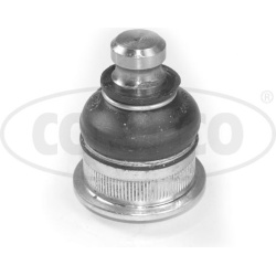 Šarnyras
                                CORTECO                                49395173, CORTECO, 49395173, auto detalė